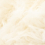 col.001