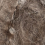 col.005