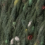 0018