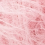 0009