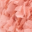 0019