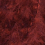col.013