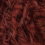 col.005