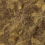 col.006