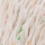 0001