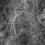 col.002